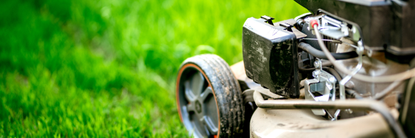 März 2026 | Elektrosicherheit beim Gärtnern